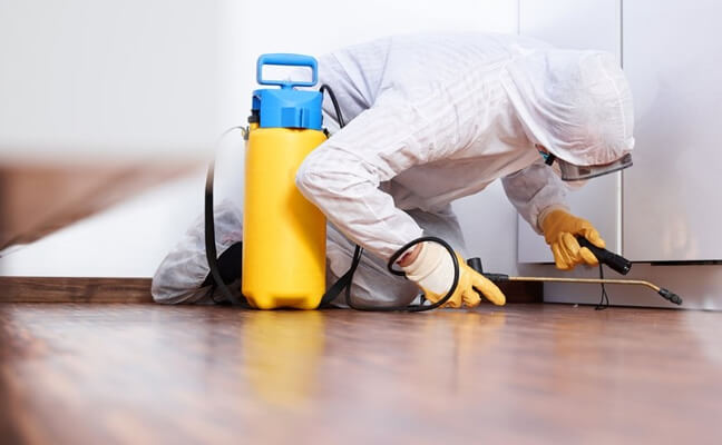 Commercial Pest Control in Chennai